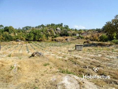 Quinta  Venda em Castelo de Penalva,Penalva do Castelo