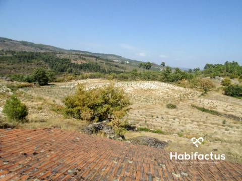 Quinta  Venda em Castelo de Penalva,Penalva do Castelo