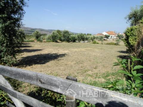 Terreno  Venda em Castelo de Penalva,Penalva do Castelo
