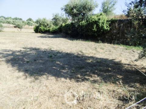 Terreno  Venda em Castelo de Penalva,Penalva do Castelo