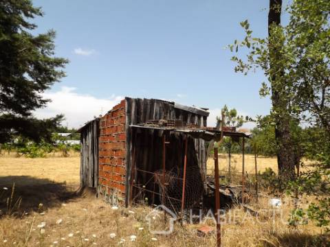 Terreno Para Construção  Venda em Canas de Senhorim,Nelas
