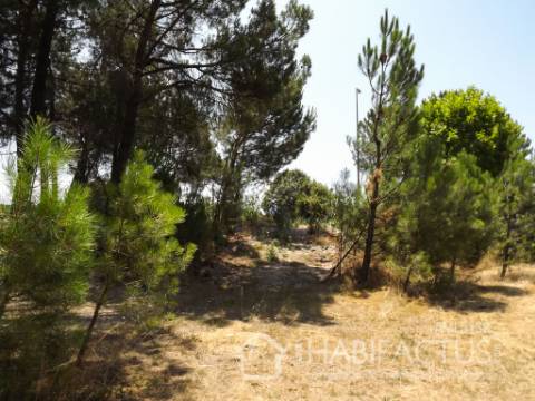 Terreno Para Construção  Venda em Canas de Senhorim,Nelas