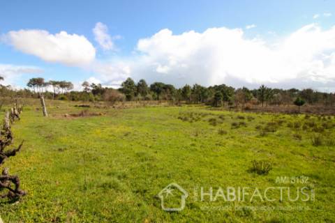 Terreno Rústico  Venda em Nelas,Nelas