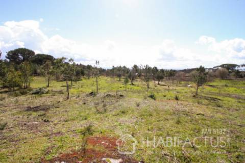 Terreno Rústico  Venda em Nelas,Nelas