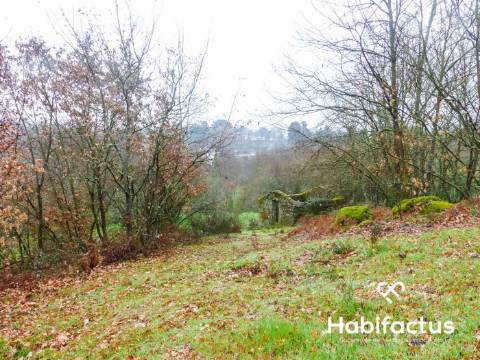 Terreno na entrada de Viseu