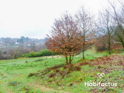 Terreno na entrada de Viseu