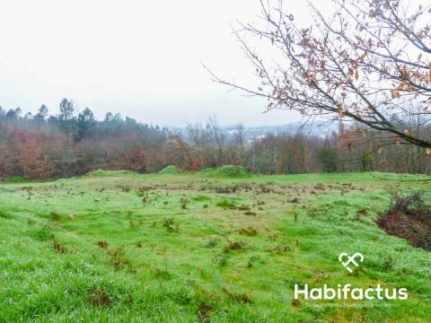 Terreno na entrada de Viseu