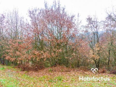 Terreno na entrada de Viseu