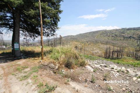 Terreno Para Construção  Venda em Nelas,Nelas