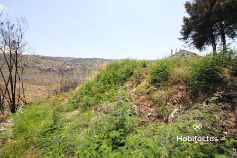 Terreno Para Construção  Venda em Nelas,Nelas