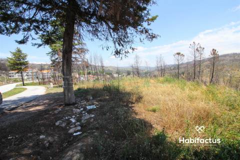 Terreno Para Construção  Venda em Nelas,Nelas