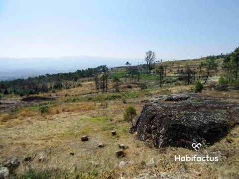 Lote de Terreno  Venda em Tavares (Chãs, Várzea e Travanca),Mangualde