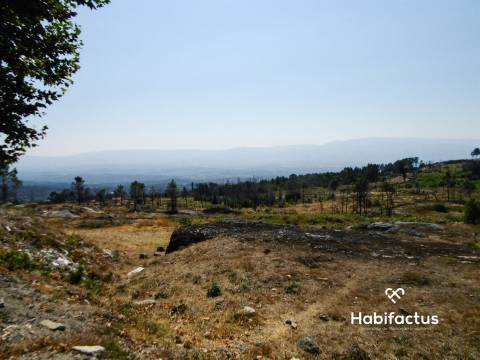 Lote de Terreno  Venda em Tavares (Chãs, Várzea e Travanca),Mangualde