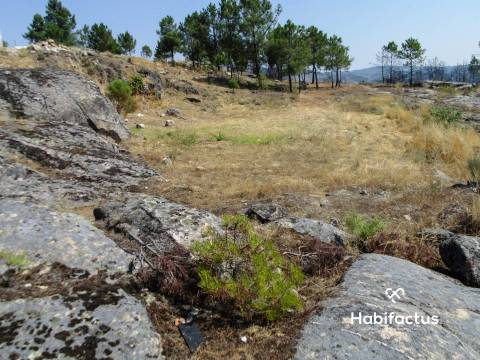 Lote de Terreno  Venda em Tavares (Chãs, Várzea e Travanca),Mangualde