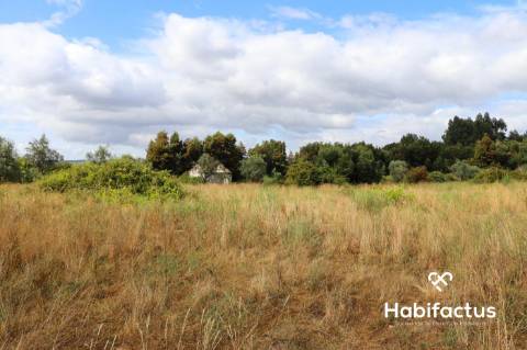 Terreno  Venda em Alcafache,Mangualde