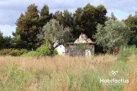Terreno  Venda em Alcafache,Mangualde