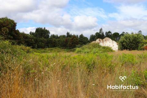 Terreno  Venda em Alcafache,Mangualde