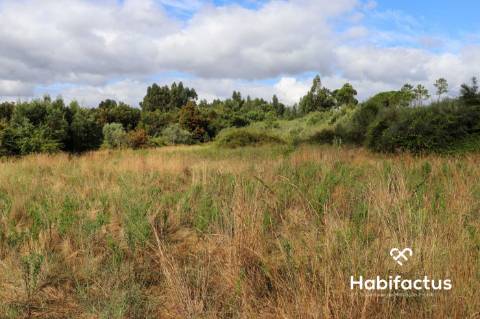 Terreno  Venda em Alcafache,Mangualde