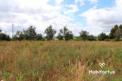 Terreno  Venda em Alcafache,Mangualde