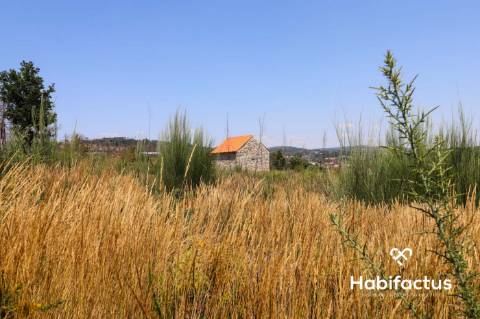 Terreno  Venda em Santiago de Cassurrães e Póvoa de Cervães,Mangualde
