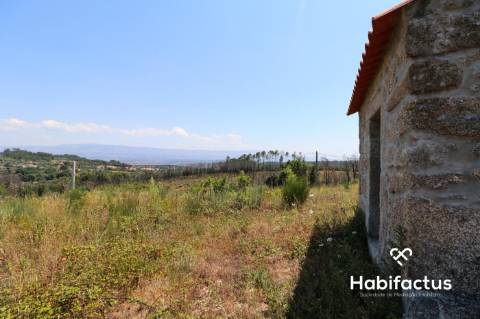 Terreno  Venda em Santiago de Cassurrães e Póvoa de Cervães,Mangualde