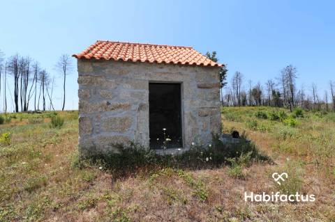 Terreno  Venda em Santiago de Cassurrães e Póvoa de Cervães,Mangualde