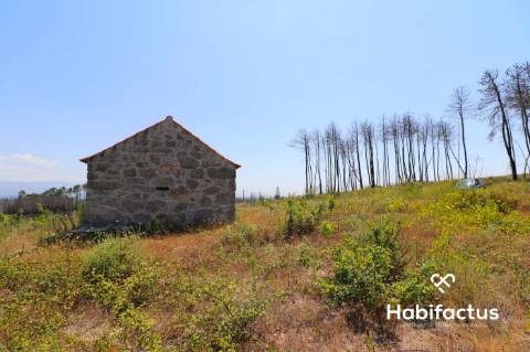 Terreno  Venda em Santiago de Cassurrães e Póvoa de Cervães,Mangualde
