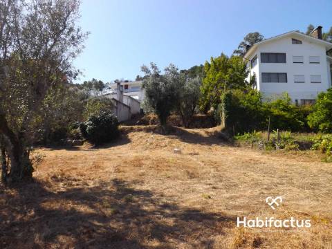 Terreno com 4.765m2 em São Martinho - Orgens.