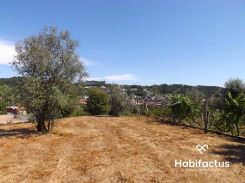 Terreno com 4.765m2 em São Martinho - Orgens.