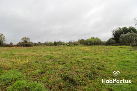 Terreno rústico na entrada de Viseu
