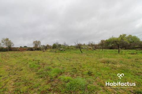 Terreno rústico na entrada de Viseu