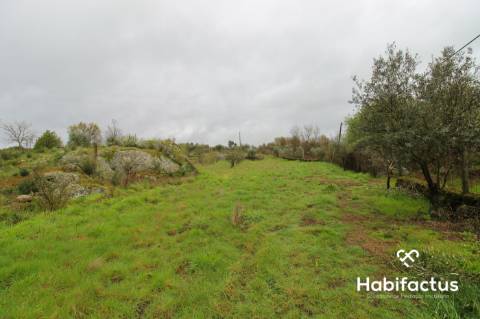 Terreno rústico na entrada de Viseu