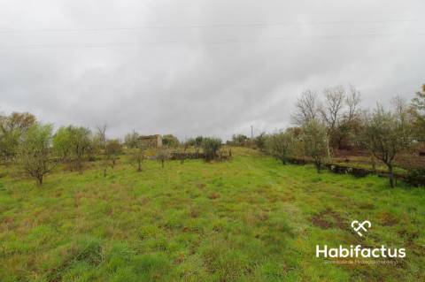 Terreno rústico na entrada de Viseu