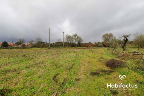 Terreno rústico na entrada de Viseu