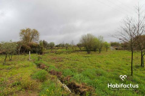 Terreno rústico na entrada de Viseu