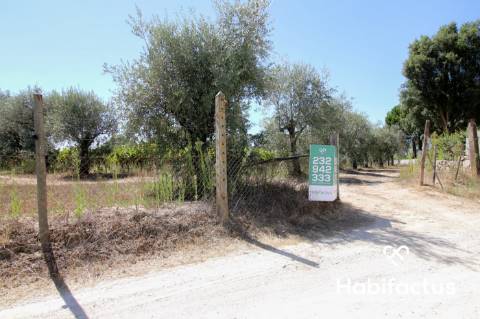 Terreno com viabilidade de construção em Nelas