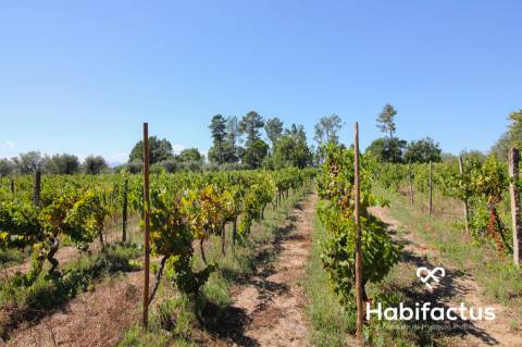 Terreno com viabilidade de construção em Nelas