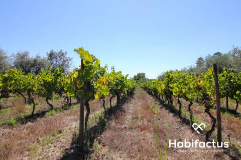 Terreno com viabilidade de construção em Nelas