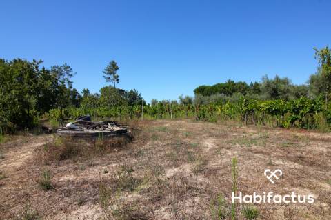 Terreno com viabilidade de construção em Nelas