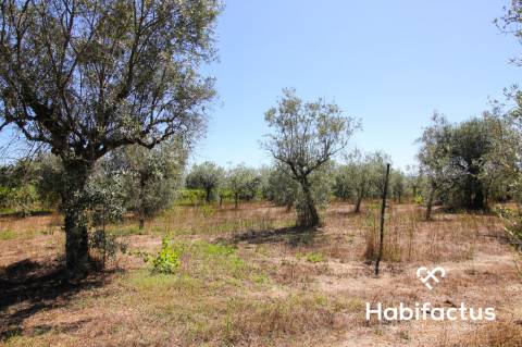 Terreno com viabilidade de construção em Nelas
