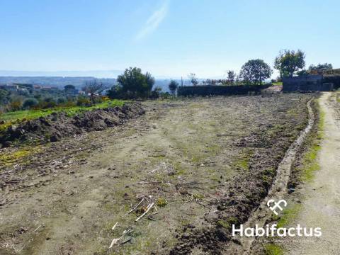 Terreno de 6000 m2 em Viseu