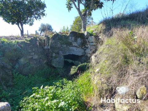 Terreno de 6000 m2 em Viseu