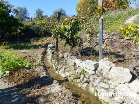 Terreno de 6000 m2 em Viseu