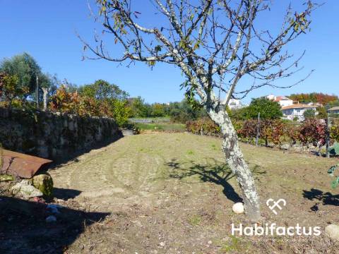 Terreno de 6000 m2 em Viseu