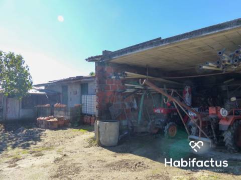 Terreno de 6000 m2 em Viseu