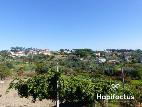Terreno de 6000 m2 em Viseu