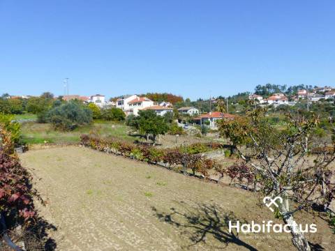 Terreno de 6000 m2 em Viseu
