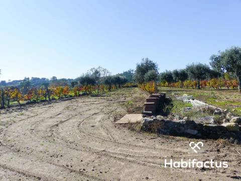 Terreno de 6000 m2 em Viseu