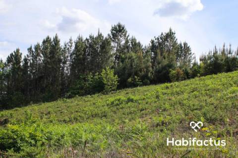 Terreno para venda em Viseu.