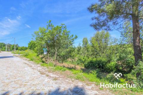 Terreno para construção,com 9750 m2 em Mangualde